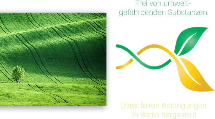 ge Bildet Bild auf Leinwand | Landschaftsbilder - green landscape - Tschechische Republik O in 100x4
