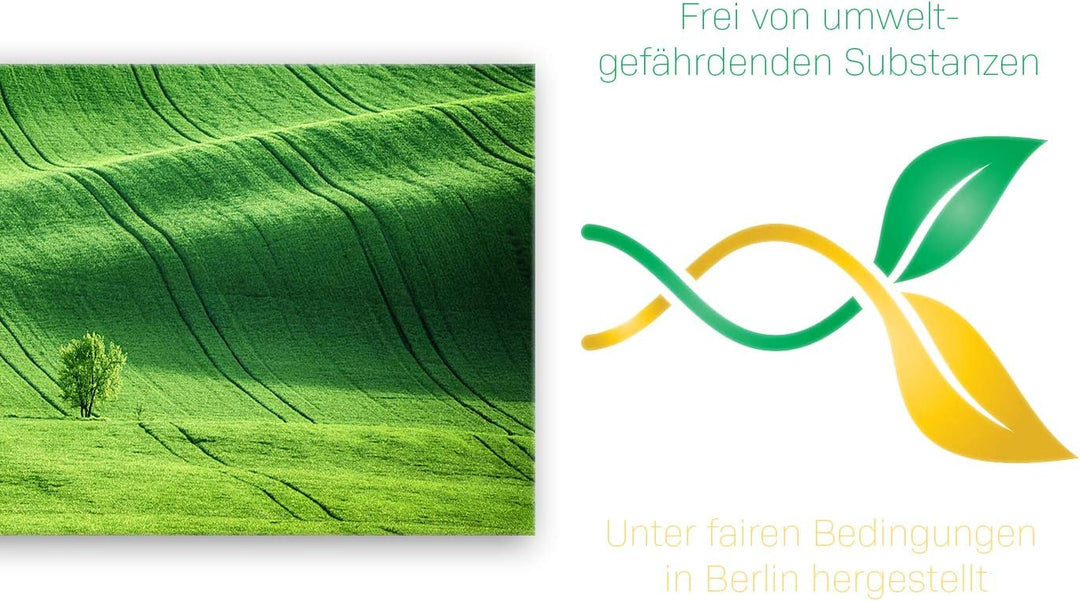 ge Bildet Bild auf Leinwand | Landschaftsbilder - green landscape - Tschechische Republik O in 120x5