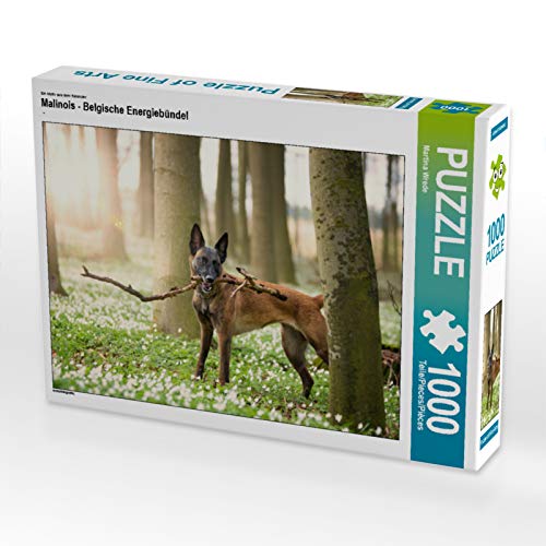 CALVENDO Puzzle Malinois - Belgische Energiebündel 1000 Teile Lege-Grösse 64 x 48 cm Foto-Puzzle Bil