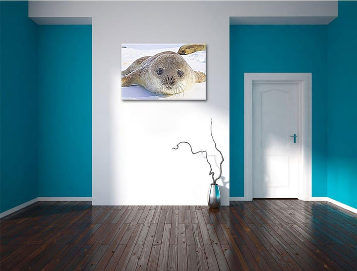 Süsses Robben Baby Deluxe Format: 100x70 cm auf Leinwand, XXL riesige Bilder fertig gerahmt mit Keil