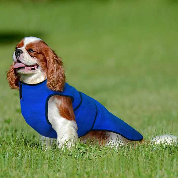 Lautus Pets Hundekühlweste – Leichte Sommerjacke für Kleine Hunde mit Reissverschluss & Klett – Einf