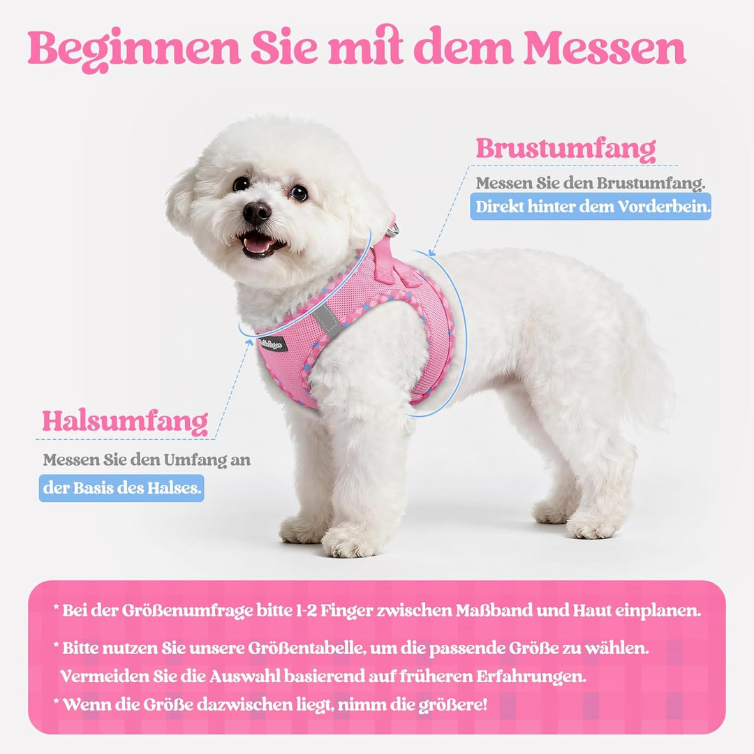 rabbitgoo Hundegeschirr Kleine Hunde mit Leine, Step-in Welpengeschirr Weich Mesh für Spaziergänge,