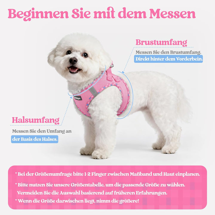 rabbitgoo Hundegeschirr Kleine Hunde mit Leine, Step-in Welpengeschirr Weich Mesh für Spaziergänge,
