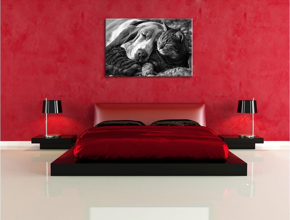 Pixxprint Katze und Hund kuschelnd Kunst B&W als Leinwandbild/Grösse: 100x70 / Wandbild/Kunstdruck/f
