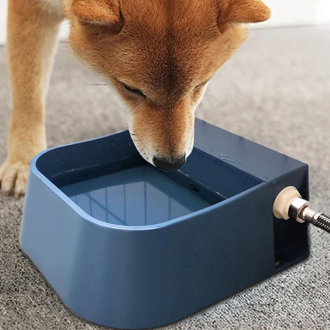 Waterer Automatischer Hundewassernapf, Futterspender für Katzen, mit Schwimmventil | Wasserspender f