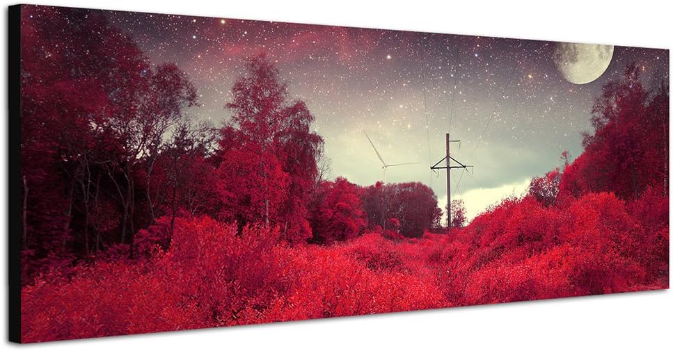 Paul Sinus Art Panoramabild auf Leinwand und Keilrahmen 150x50cm Wald Bäume Büsche Nacht Mond Sterne