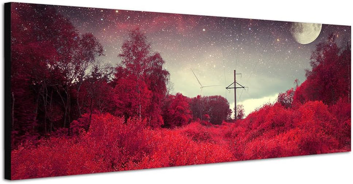Paul Sinus Art Panoramabild auf Leinwand und Keilrahmen 150x50cm Wald Bäume Büsche Nacht Mond Sterne