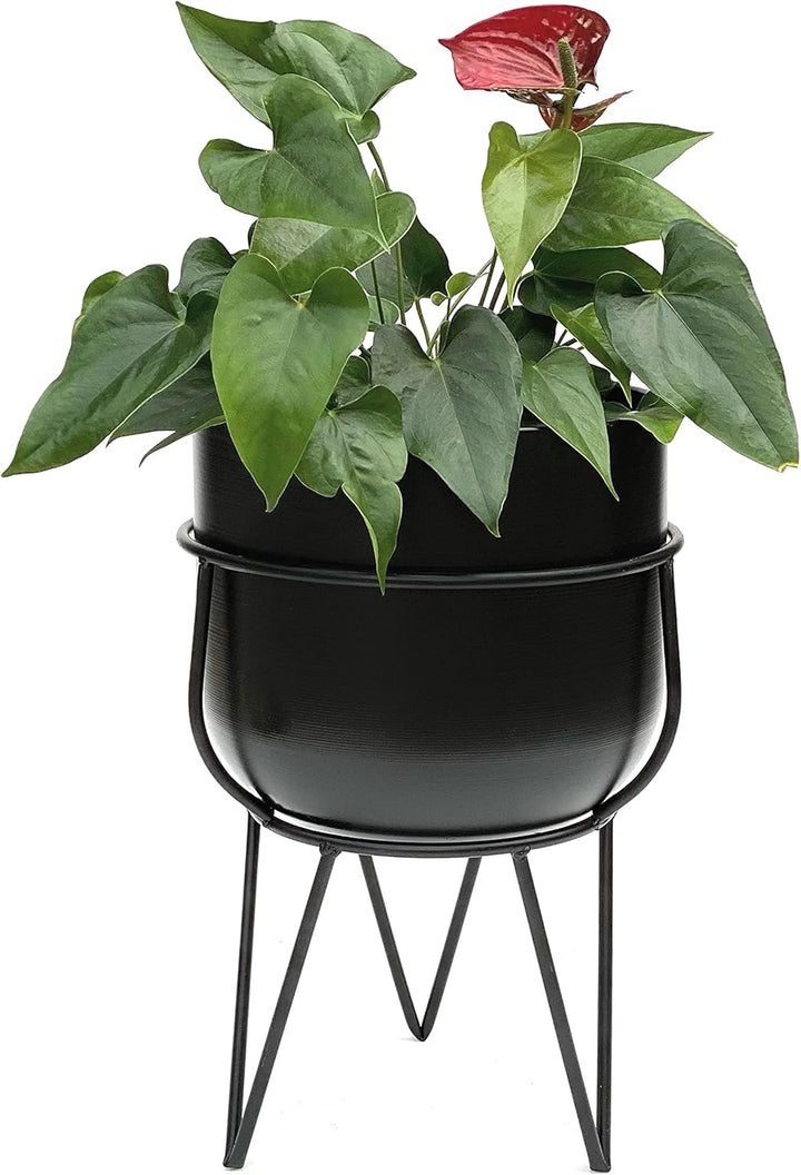 DanDiBo Blumenhocker mit Topf Metall Schwarz 42,5 cm Blumenständer 96151 Blumensäule Modern Pflanzen
