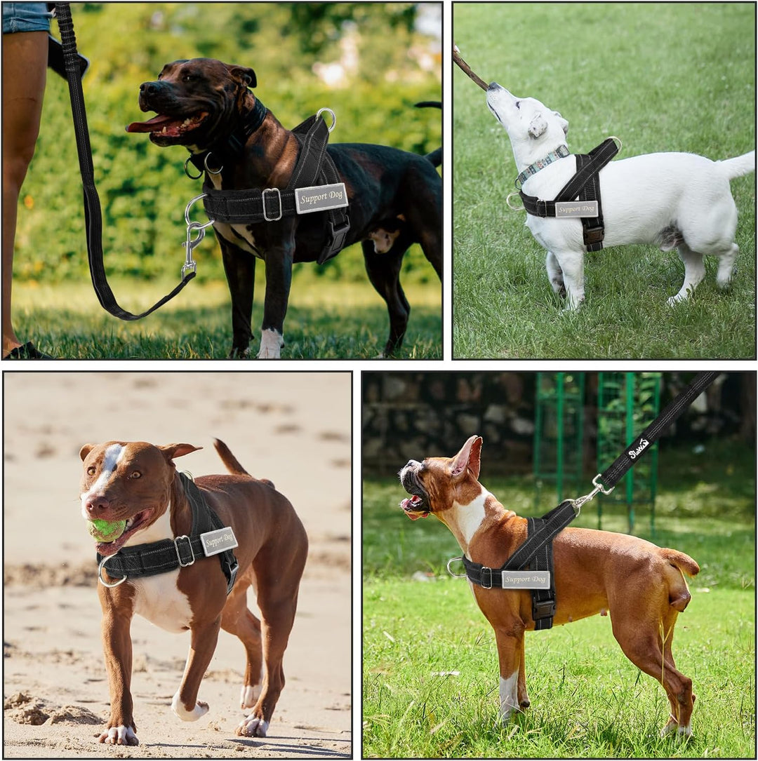 Hundegeschirr mit Leine für grosse mittelgrosse Hunde, Weich gepolsterter Brustgeschirr mit 2 Leinen