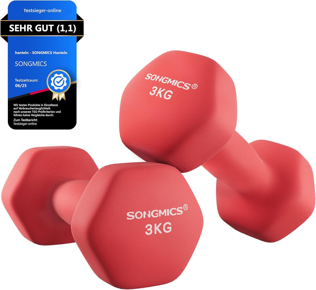 SONGMICS Hanteln, 2er Set,Hantelset, Kurzhanteln, Hexagon, Neopren-Beschichtung, Krafttraining, Work