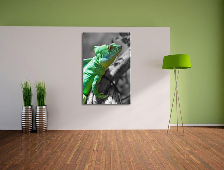 schönes kleines Chamäleon schwarz/weiss auf Leinwand, XXL riesige Bilder fertig gerahmt mit Keilrahm