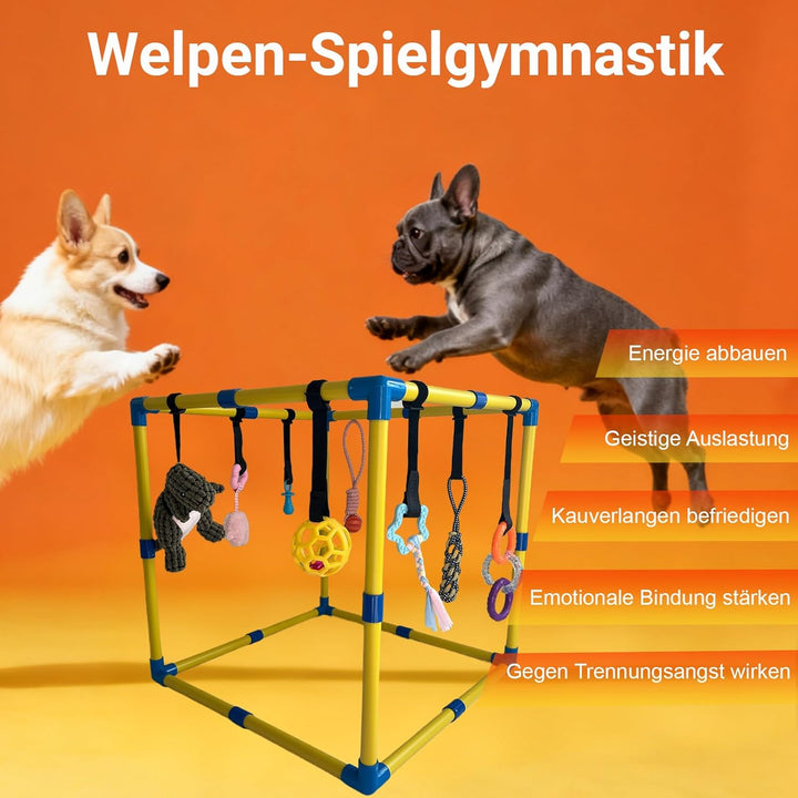 Welpenspielstudio, mit 9 interaktiven Hundespielzeugen, Welpenanreicherungsspielzeug, um sie zu besc