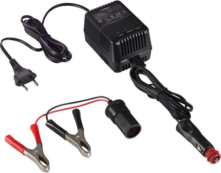 DOMETIC BC 100 Battery Conditioner, 12 V hält Batterien einsatzbereit, ideal für Motorräder, Wohnmob