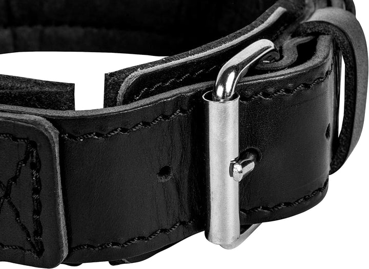 Dingo Gear Lederhalsband für Hund ''Drago'' Amortisiert Schwarz mit Griff Handgefertigt S04022, 56-6