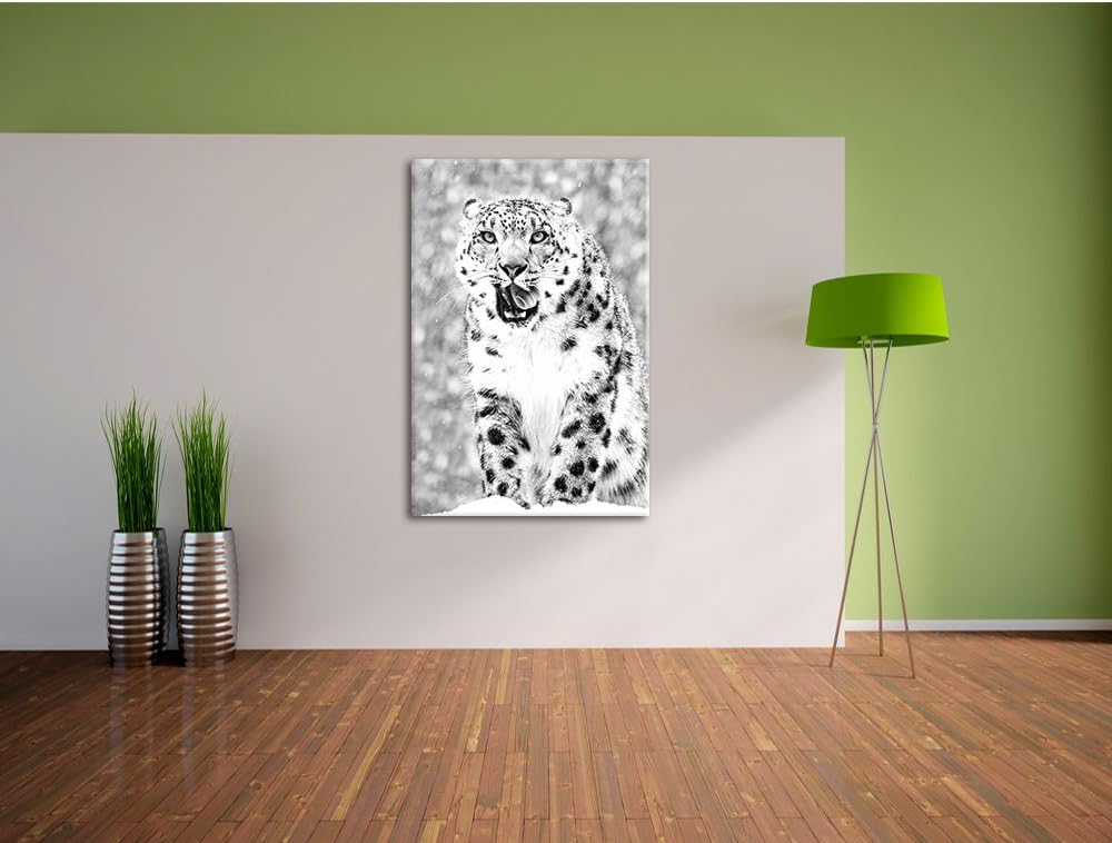 Pixxprint Leopard im Schnee Kunst B&W / 100x70cm Leinwandbild bespannt auf Holzrahmen/Wandbild Kunst