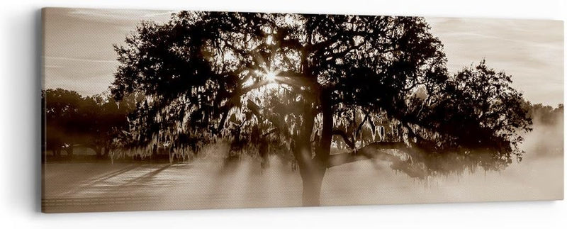 Panorama Bilder auf Leinwand Baum Feld Natur Leinwandbild mit Rahmen 90x30cm Wandbilder Dekoration W