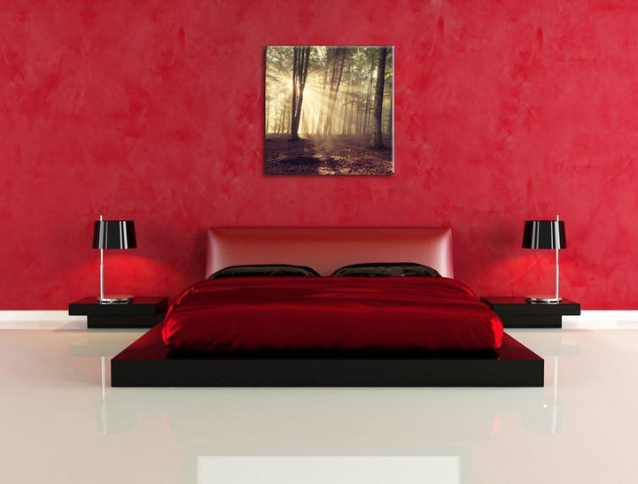 Pixxprint Waldlichtung im Sonnenschein, Format: 70x70 auf Leinwand, 70x70