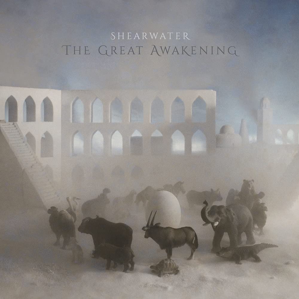 The Great Awakening, Vinyl