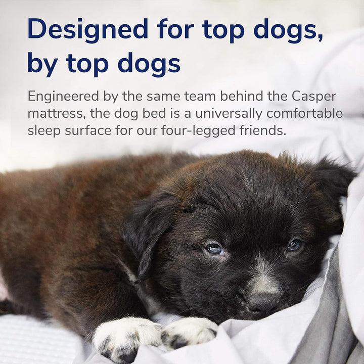 Casper Hundebett, Memory-Schaum, klein, Grau grau S, grau S