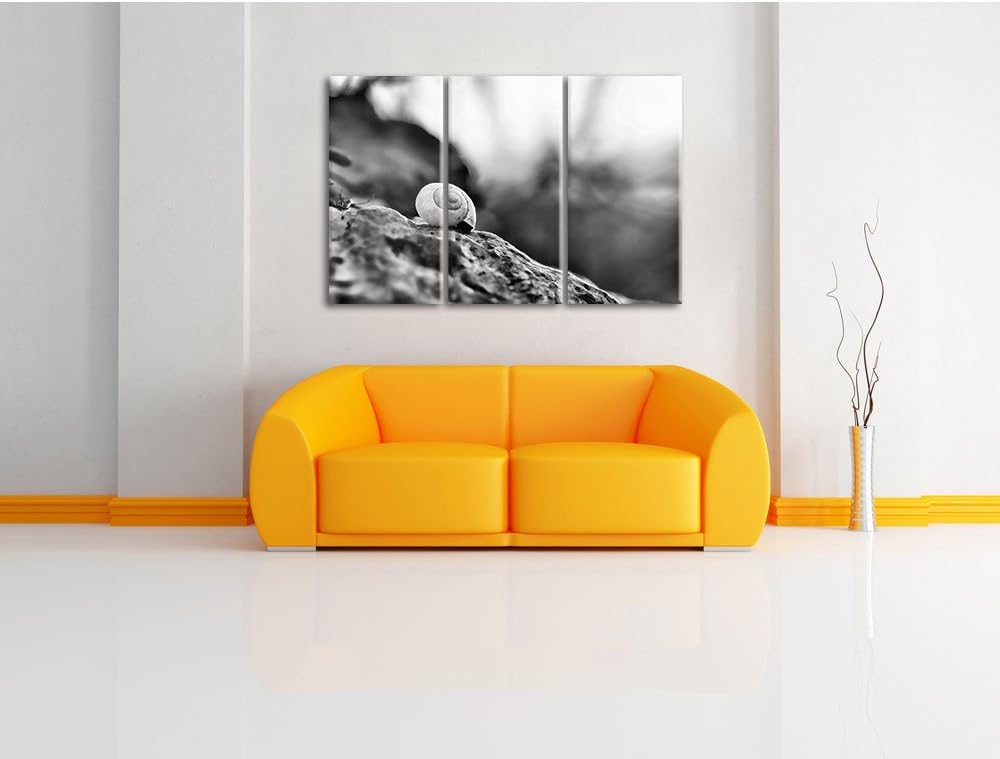 Pixxprint kleine Schnecke auf Stein als Leinwandbild/Grösse: 3 Teilig (120x80) cm/Wandbild/Kunstdruc