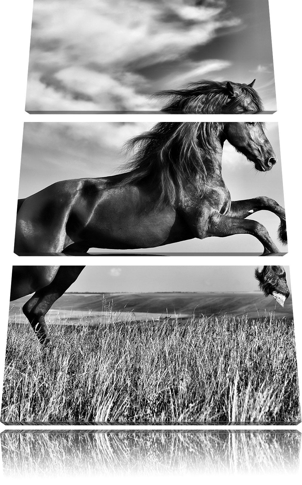 Pixxprint Monocrome, Schwarzer Hengst auf grünen Wiese 3-Teiler Leinwandbild 120x80 Bild auf Leinwan