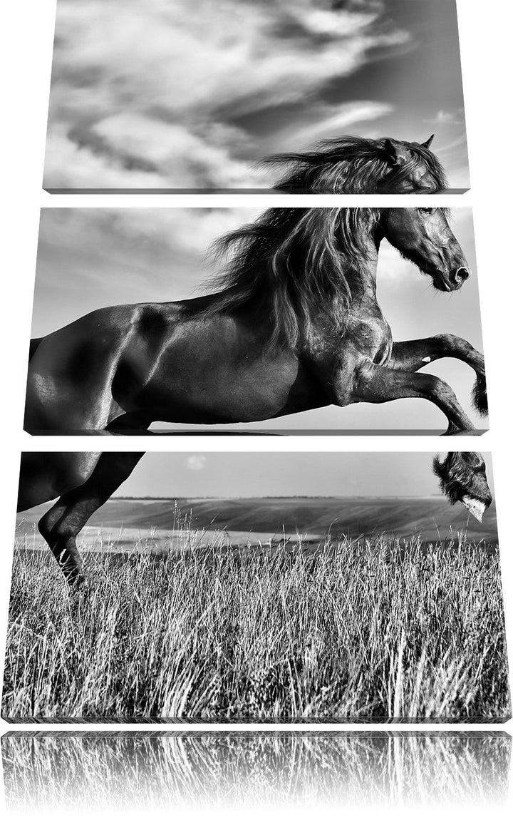 Pixxprint Monocrome, Schwarzer Hengst auf grünen Wiese 3-Teiler Leinwandbild 120x80 Bild auf Leinwan