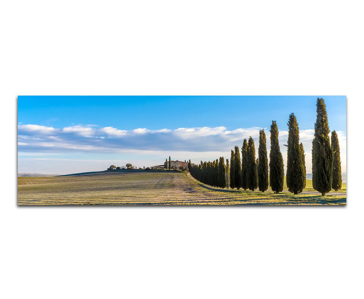 Paul Sinus Art Panoramabild auf Leinwand und Keilrahmen 120x40cm Italien Toskana Landschaft Zypresse