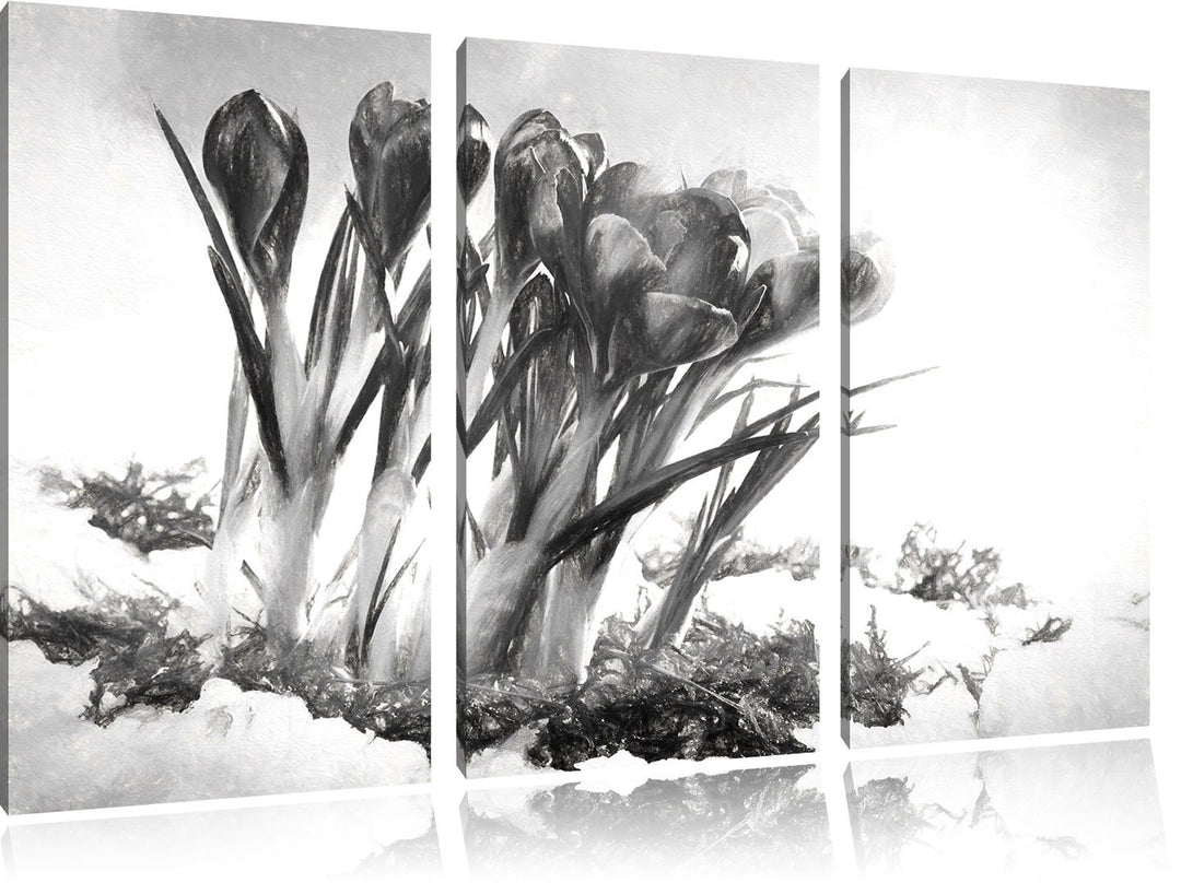 Pixxprint Frühling florwer Hintergrund / 3-Teilig/Gesamtmass 120cm Leinwandbild bespannt auf Holzrah