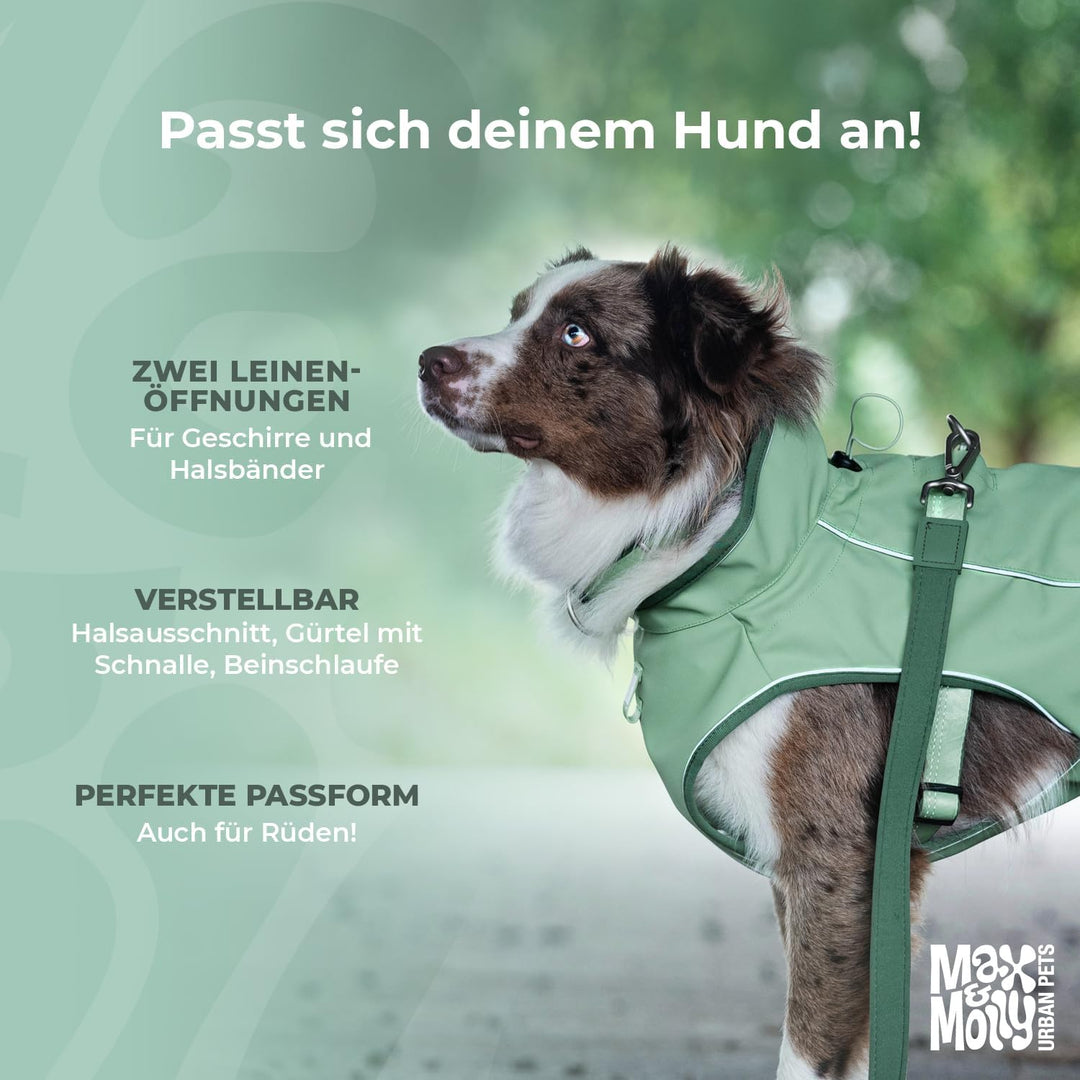 Max & Molly Regenmantel Hund wasserdicht, M, Schwarz, Sportliche Regenjacke für Hunde mit verstellba