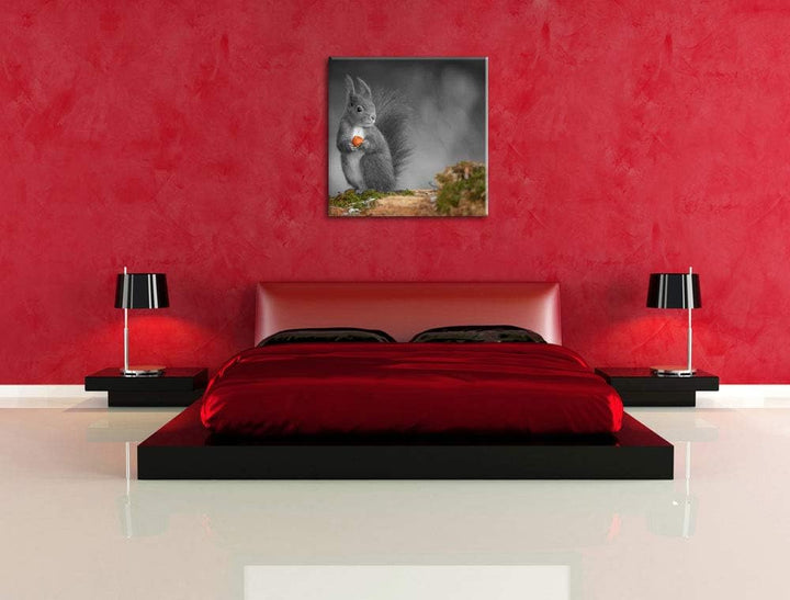 Pixxprint süsses Eichhörnchen mit Nuss als Leinwandbild/Grösse: 70x70 cm/Wandbild/Kunstdruck/fertig