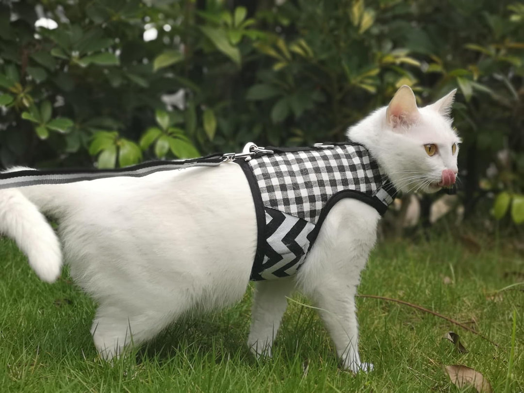 Yizhi Miaow Katzengeschirr und Leine zum Spazierengehen, ausbruchsicher, verstellbares Katzengeschir