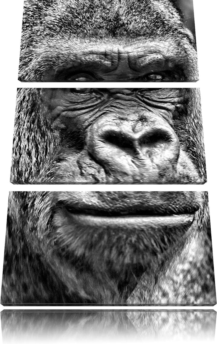 Pixxprint stolzer Gorilla als Leinwandbild/Grösse: 3 Teilig (120x80) cm/Wandbild/Kunstdruck/fertig b