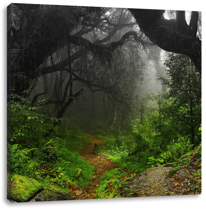 Pixxprint Mystischer Regenwald als Leinwandbild Quadratisch/Grösse: 70x70 / Wandbild/Kunstdruck/fert