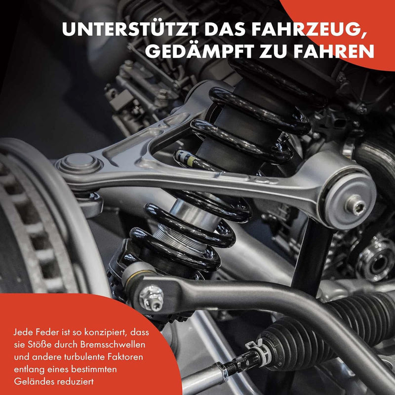 Frankberg 2x Federn Fahrwerksfeder Hinterachse Kompatibel mit Exeo ST 3R5 1.8L Kombi 2009-2013 Repla