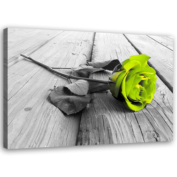 Feeby Bild auf Leinwand Rose Kunstdruck modern Natur Grün 80x60 cm M14563 80x60 cm, M14563 80x60 cm