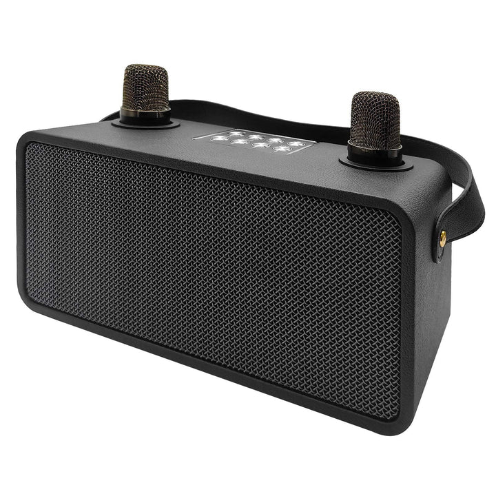 Karaoke-Maschine, Tragbarer Bluetooth-Lautsprecher mit 2 drahtlosen Mikrofonen, Karaoke-Mikrofon für