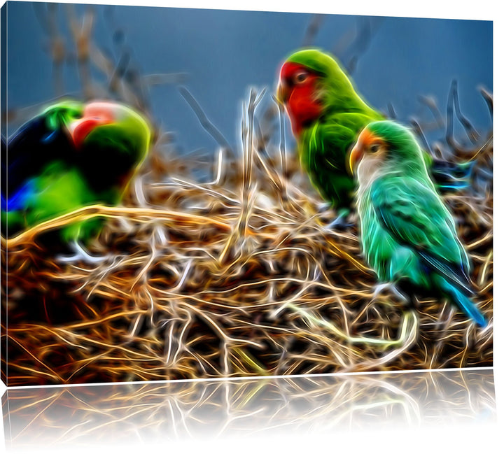 Papageien im Nest Deluxe Format: 100x70 cm auf Leinwand, XXL riesige Bilder fertig gerahmt mit Keilr