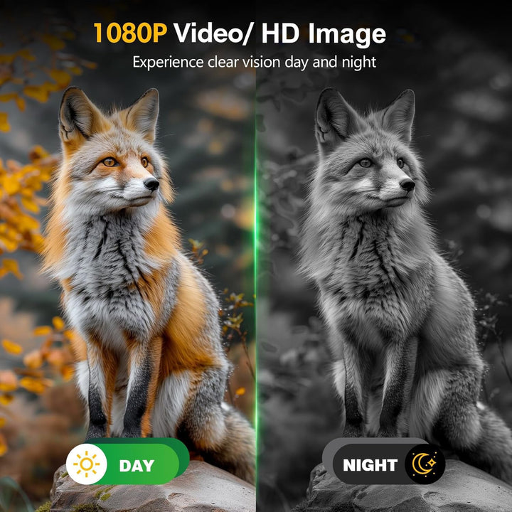 Nachtsichtgerät Ferngläser 800m, Jagd Fernglas mit Nachtsicht, HD-Bildschirm und 32GB Karte, Binocul