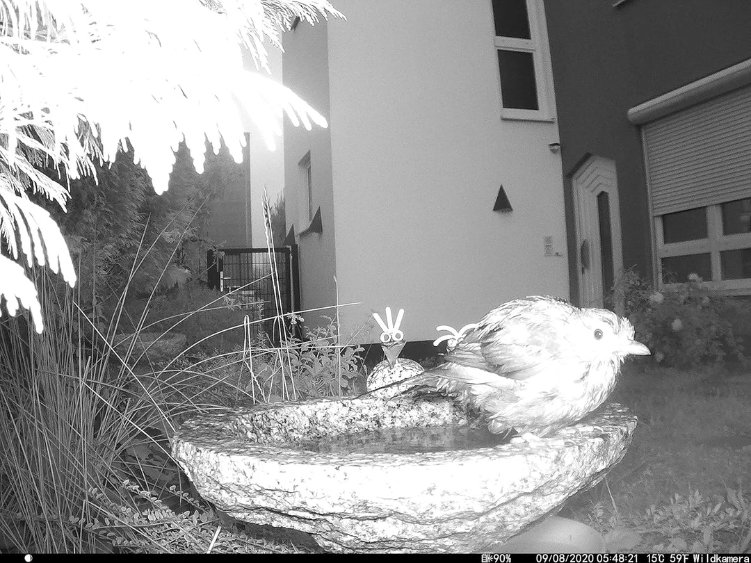 Gebrüder Lomprich Vogelbad aus Granit mit Fuss (1 Steinvogel am Rand sitzend)