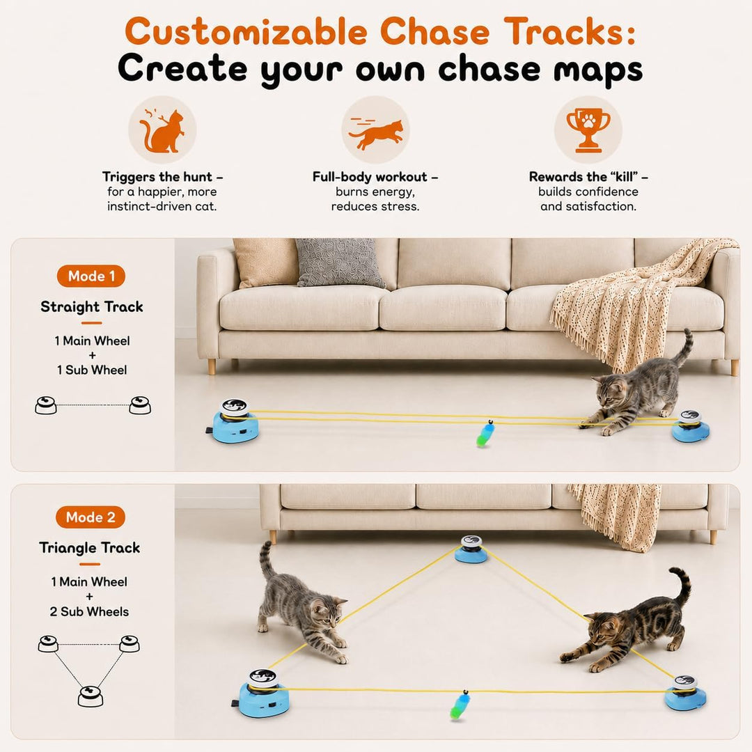ITSHINY Katzenspielzeug Elektrisch, Katzenlaufrad, Interaktives Katzenspielzeug Selbstbeschäftigung