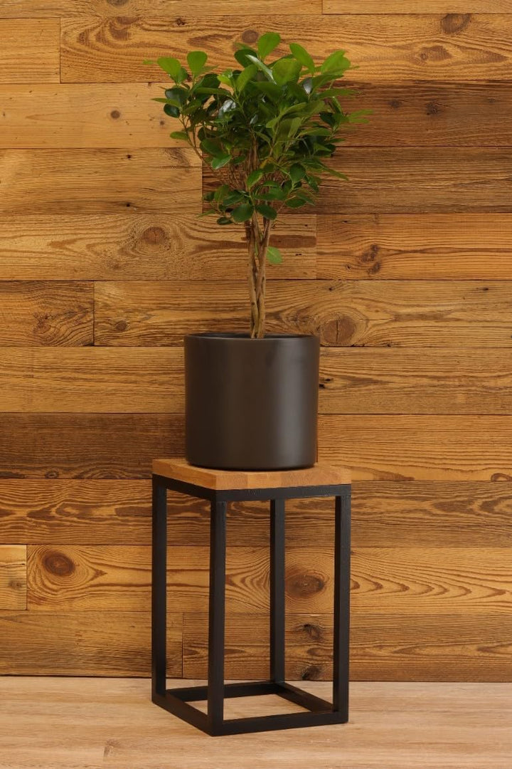 Blumenständer klein Blumenständer 42 cm Eiche Holz