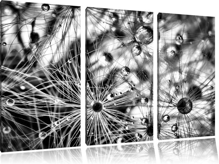 Pixxprint Monocrome, Glasperlen weisses Gras Abstrakt 3-Teiler Leinwandbild 120x80 Bild auf Leinwand