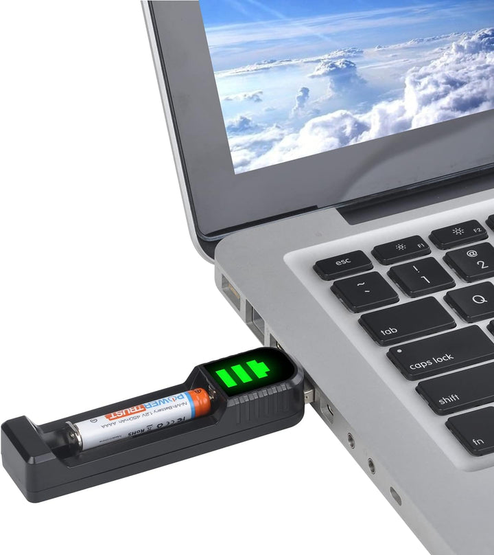 PowerTrust 4Pcs AAAA Wiederaufladbar Akku mit Ladegerät für LR61/ AAAA/ E96/ Surface Pen/Surface Boo