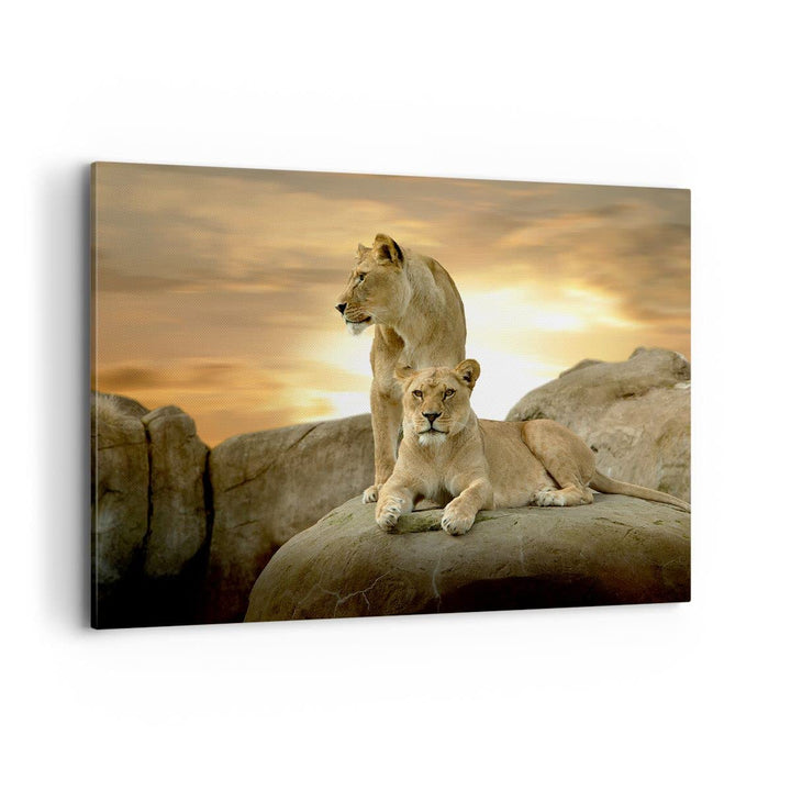 Bilder auf Leinwand 100x70cm Leinwandbild Löwen Sonnenuntergang Felsen Krallen Gross Wanddeko Bild S