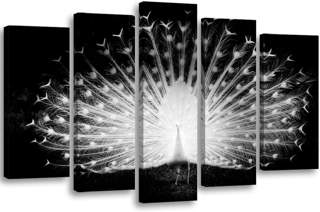 Feeby Bilder 5 Teile XXL Natur Vogel Pfau Typ A 250x120 cm Wohnzimmer Schlafzimmer Büro Flur Küche W