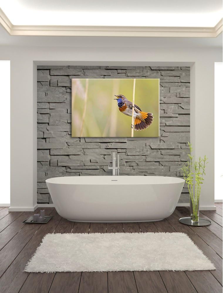 schönes kleines Blaukehlchen Leinwand, XXL riesige Bilder fertig gerahmt mit Keilrahmen, Kunstdruck