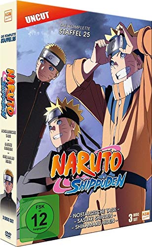 Naruto Shippuden - Staffel 25 (Folgen 700-713) [3 DVDs], DVD