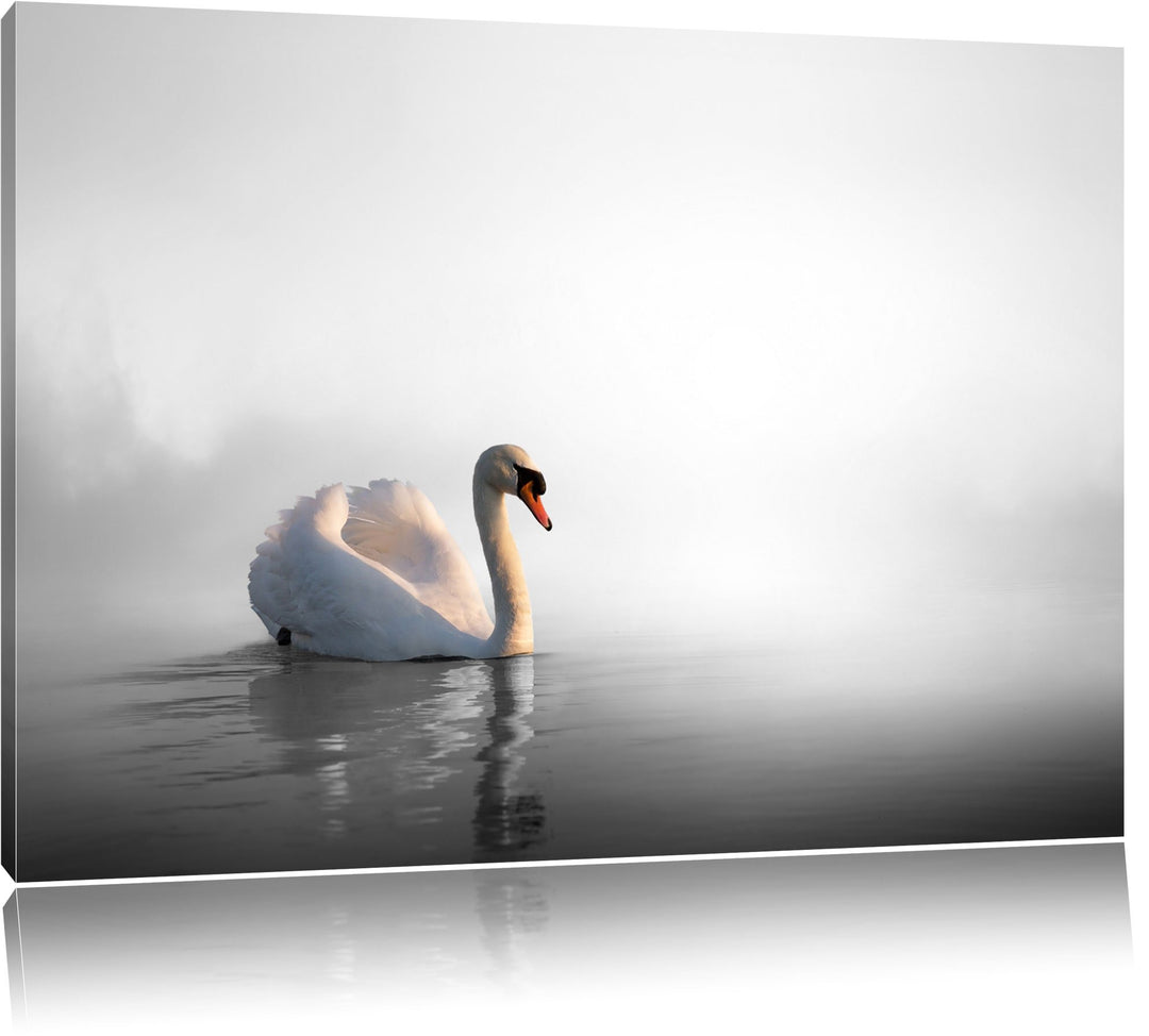 einsamer Schwan auf See schwarz/weiss Format: 100x70 auf Leinwand, XXL riesige Bilder fertig gerahmt