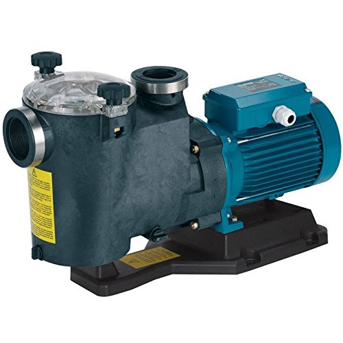 CALPEDA Selbstansaugende Schwimmbadpumpen MPC41 1,1kW 1,5Hp DREI Phasen 400V