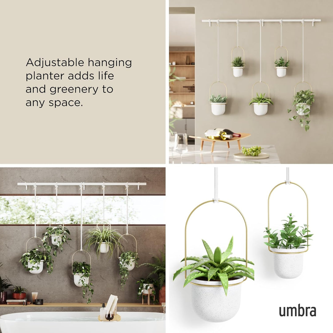 Umbra Triflora Vase, Hängeblumentopf, Wandvase, Blumenampel für Wand- und Deckenanbringung, 5er-Set,